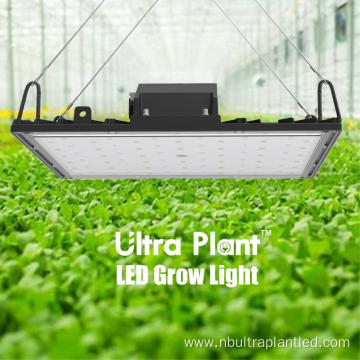 All Deep Red 660nm LED Grow Light